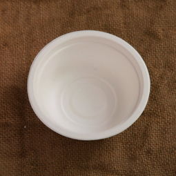 环保新选择12560F L026纸浆碗350ml一次性餐具的重新思考